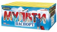 Мультипаспорт Салют купить в Пушкино | pushkino.salutsklad.ru