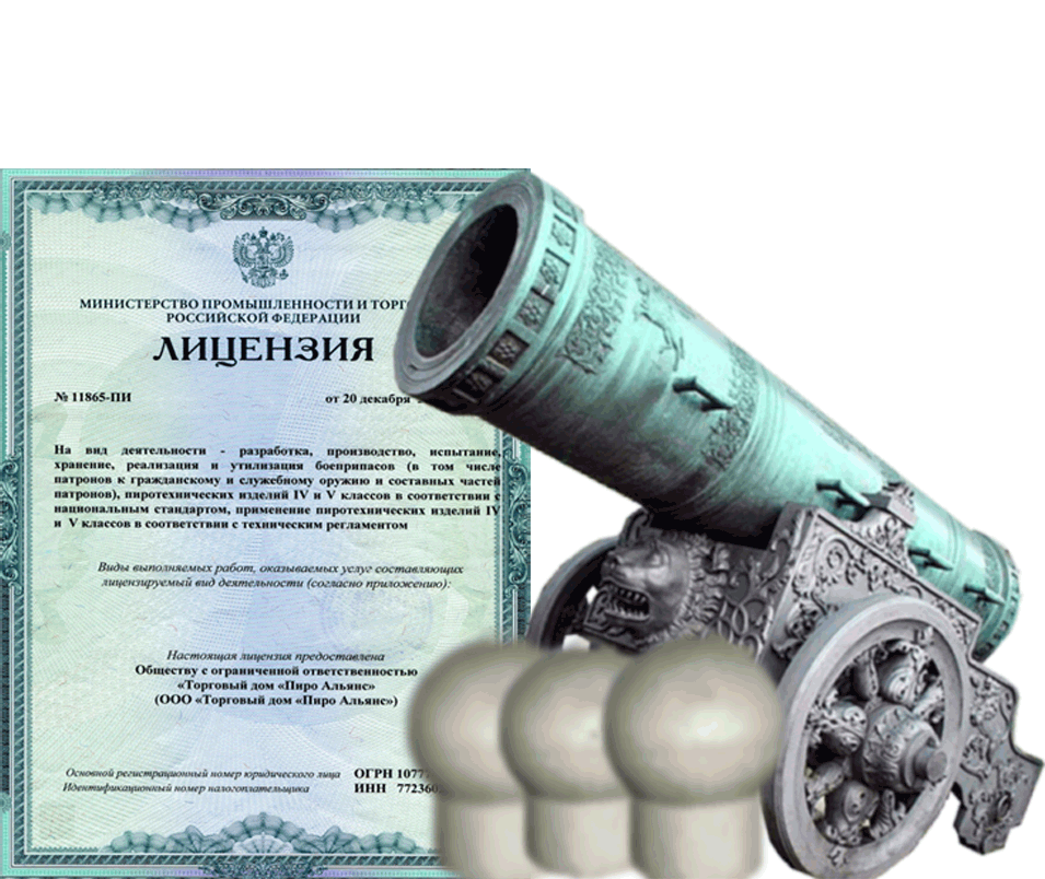 Заказать фейерверк на Новый Год - салют в Пушкино