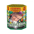 Красивые салюты акция  — в Пушкино | pushkino.salutsklad.ru