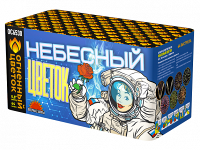 Небесный цветок Салют купить в Пушкино | pushkino.salutsklad.ru